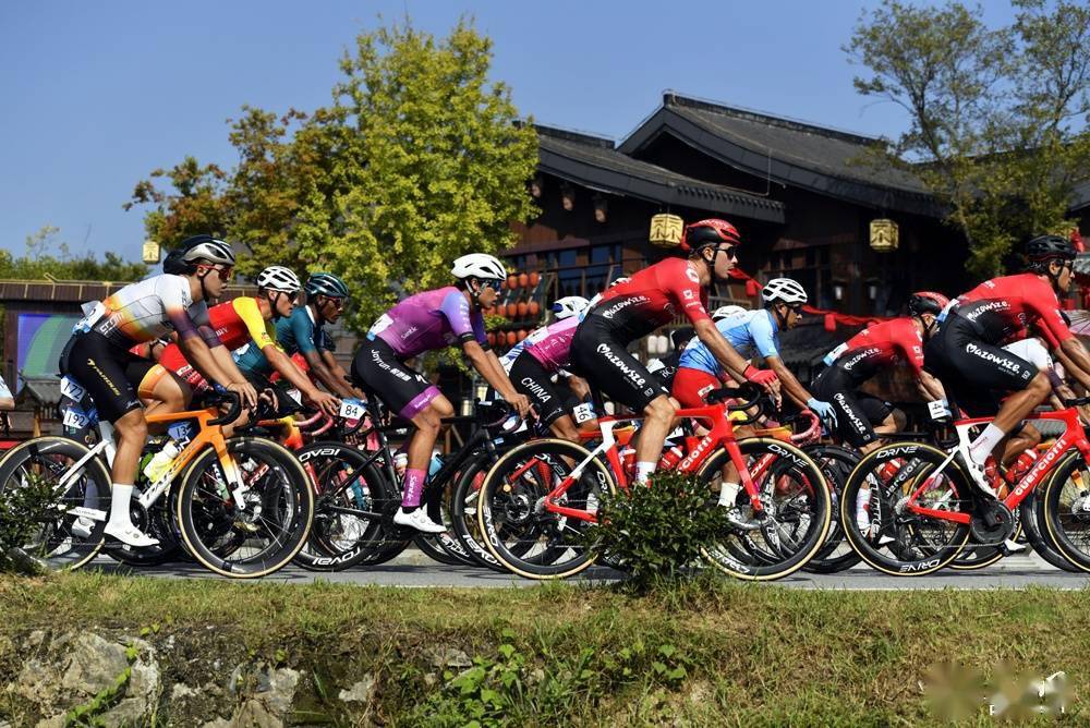 特色山地越野自行车赛，穿越林海峡谷的速度盛宴的简单介绍