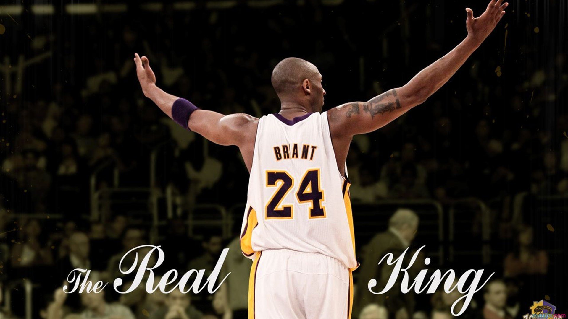 _湖人迎来反弹，逐步走出低谷_，湖人遭逆转