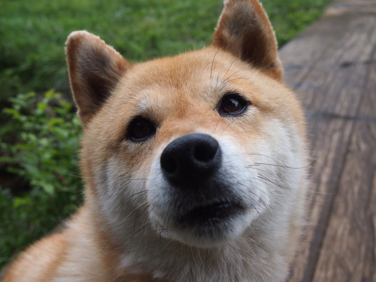 【经典比赛】奥沙利文:逆境中的逆转奇迹,奥沙利文惊天大逆转