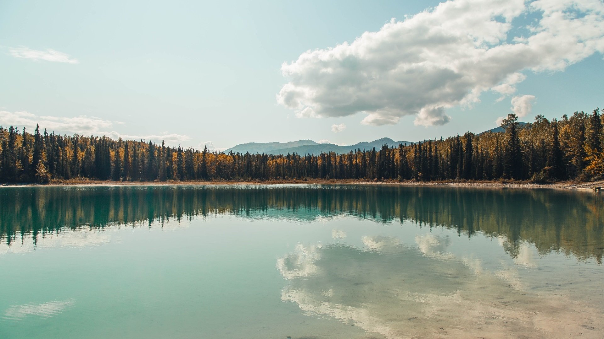 女子赛车锦标赛:速度与美丽同在,中国女子赛车队