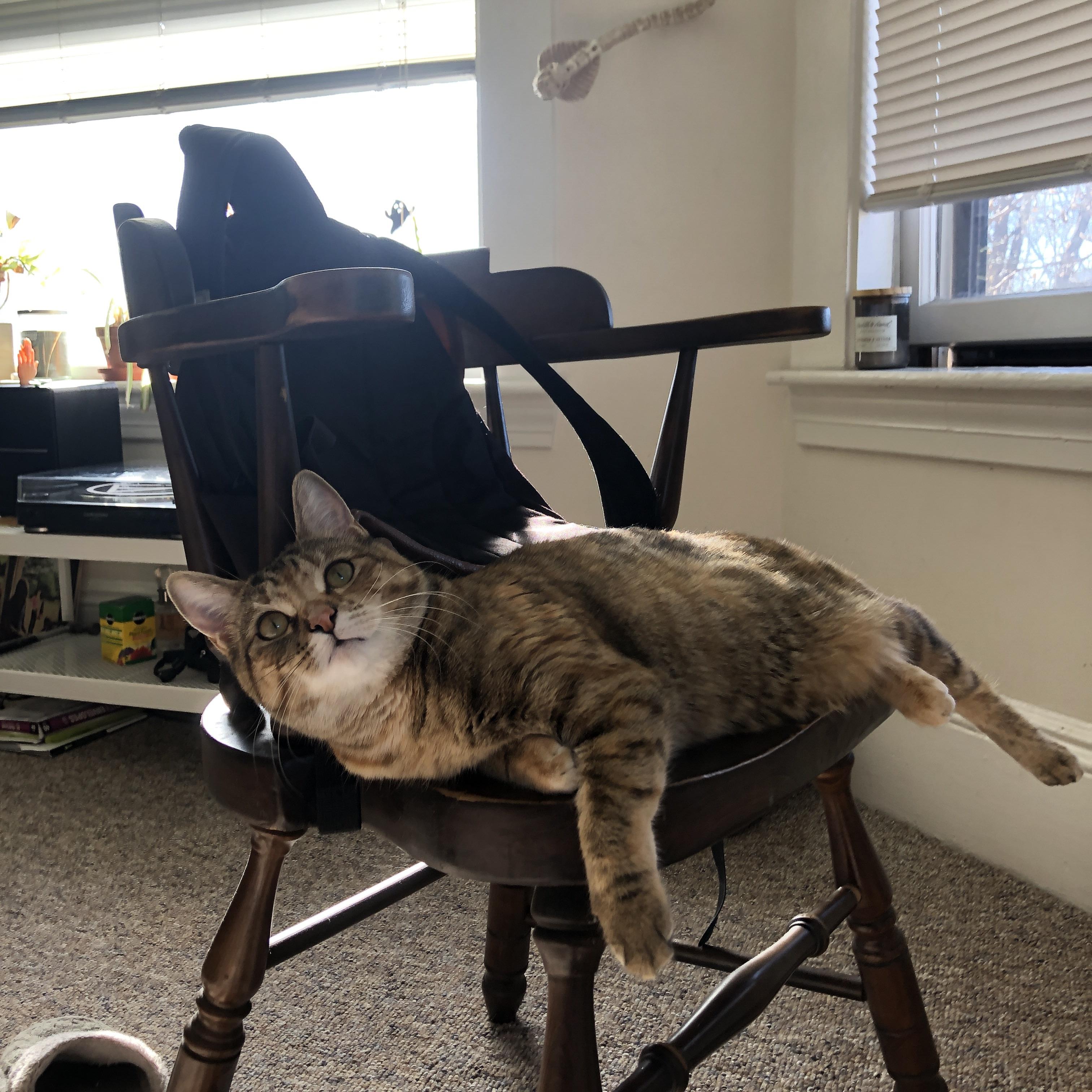 乐鱼娱乐app-性能优良新型青训装备频出，行业科技创新不断推进，青训品牌