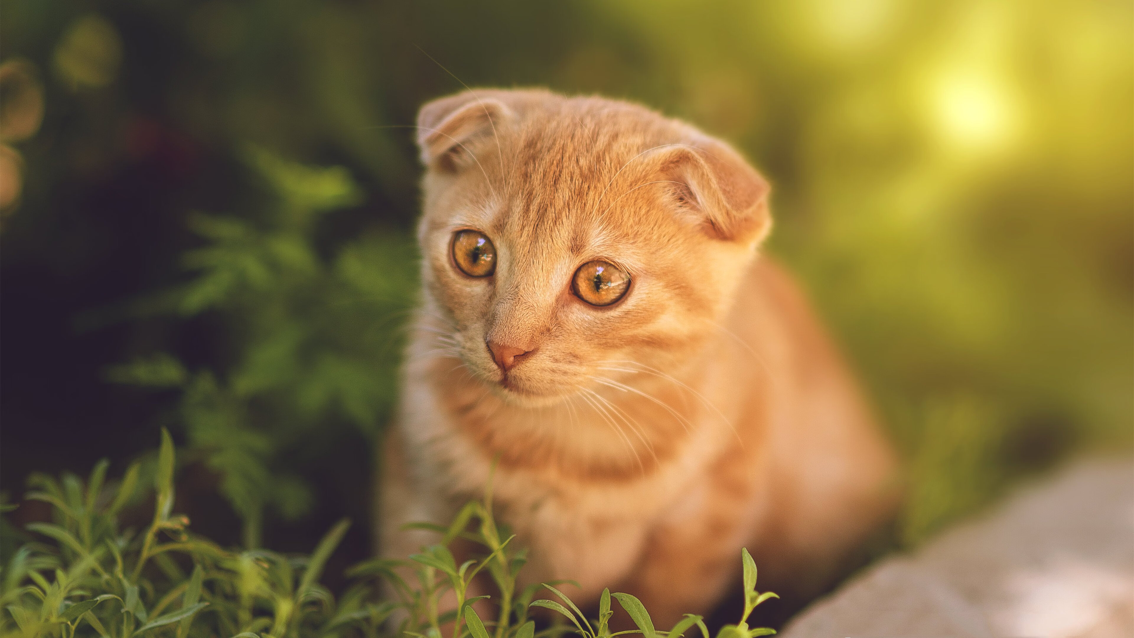 IG战队推进电竞运动员职业素养培养，ig电子竞技俱乐部招聘工作人员吗