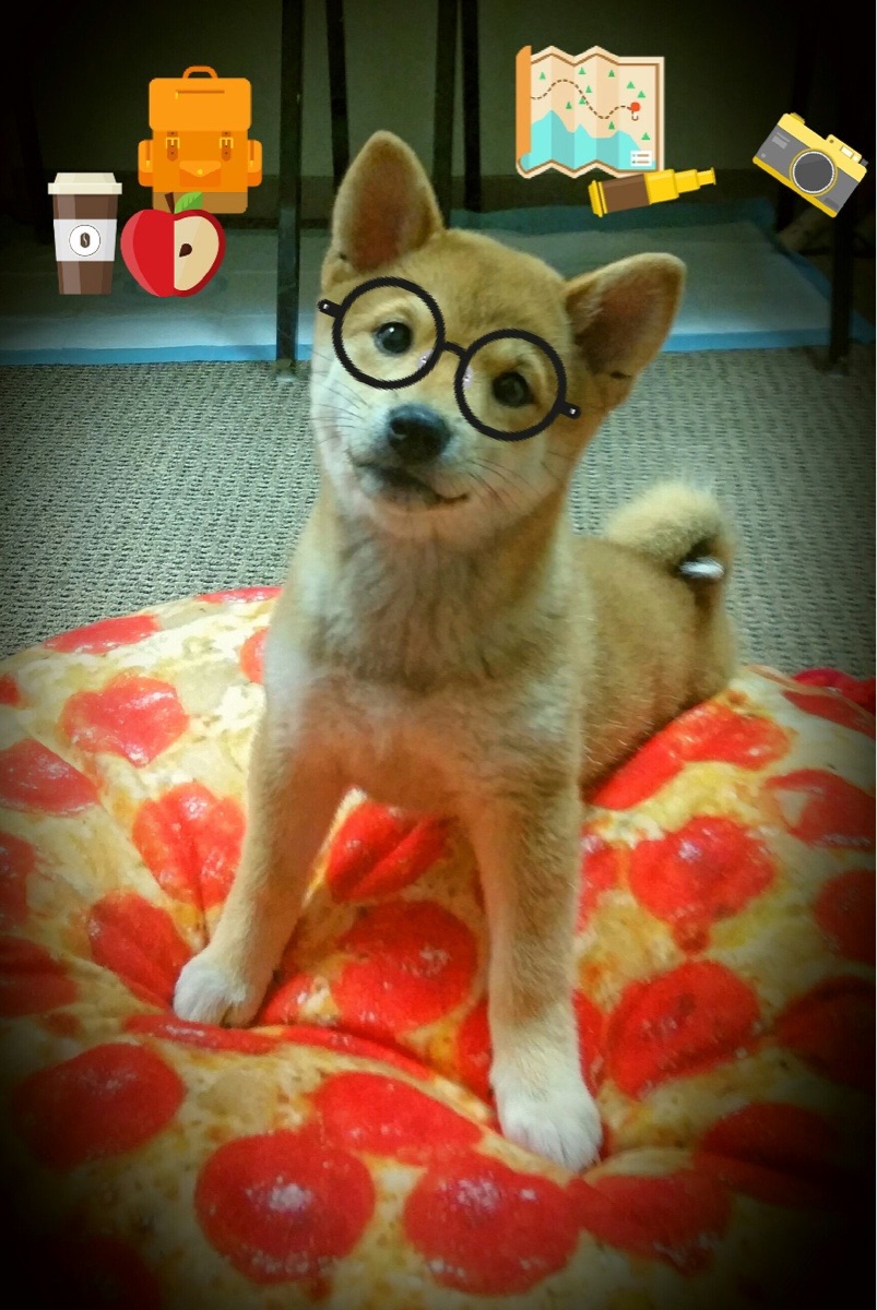 上海海港与对手激烈对抗,上港 上海海港