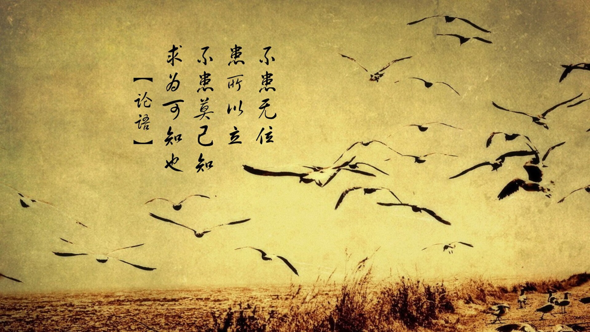 乐鱼体育平台官网-多支球队晋级欧锦赛淘汰赛，战局渐趋激烈，欧锦赛淘汰赛分组