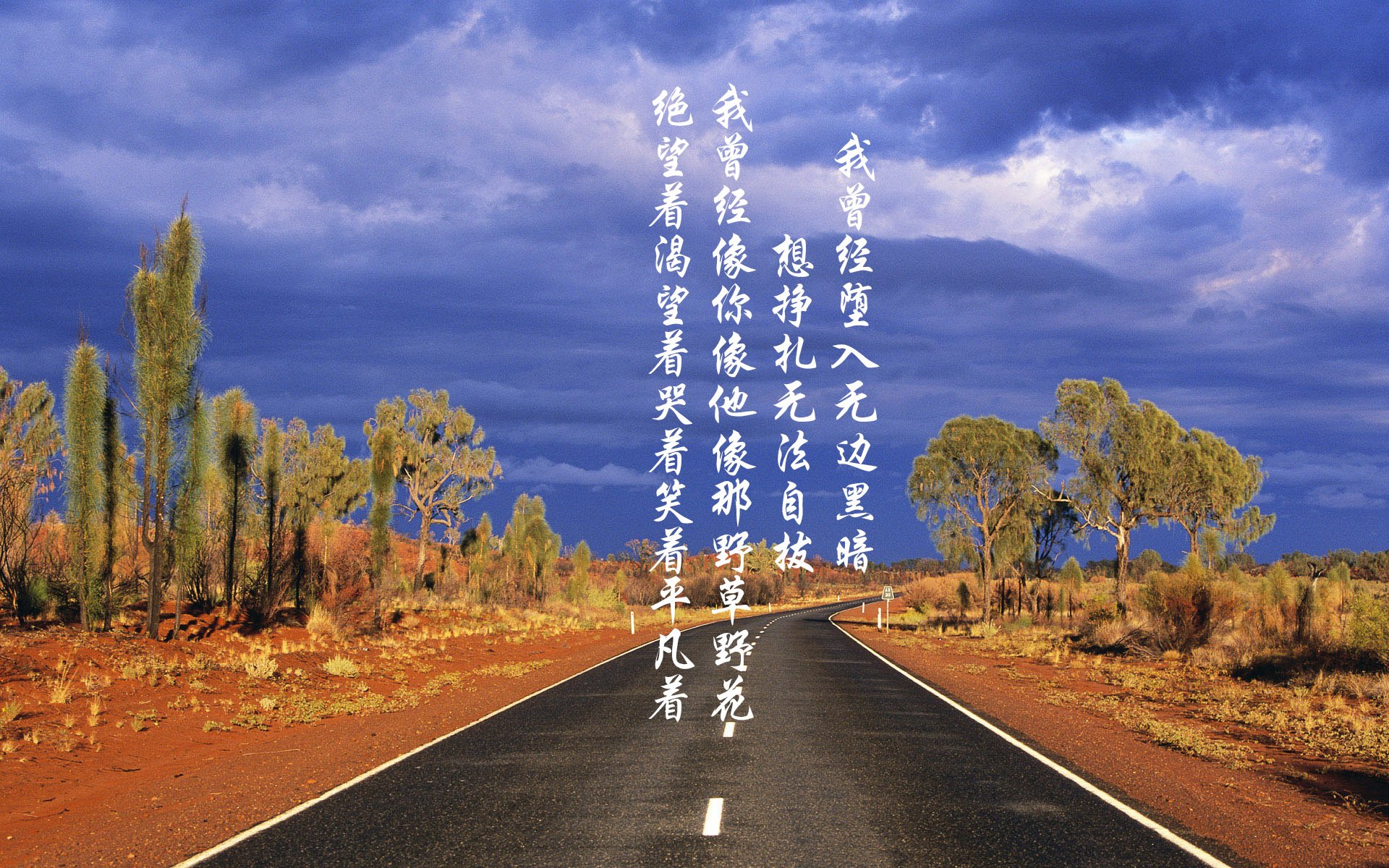 森林狼球队战术执行更有效，森林狼球队阵容