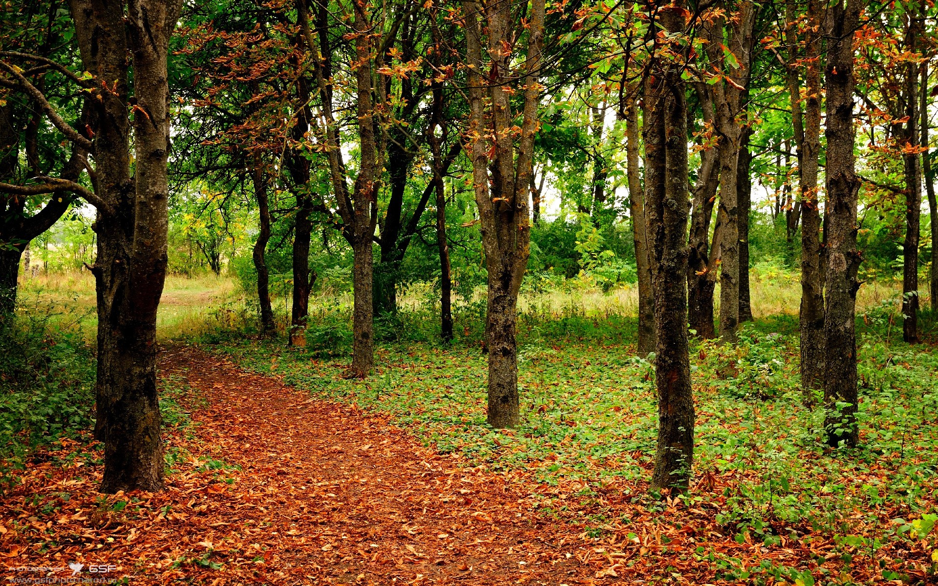 河南建业面对不败劲旅，艰难取得胜利，河南建业官宣