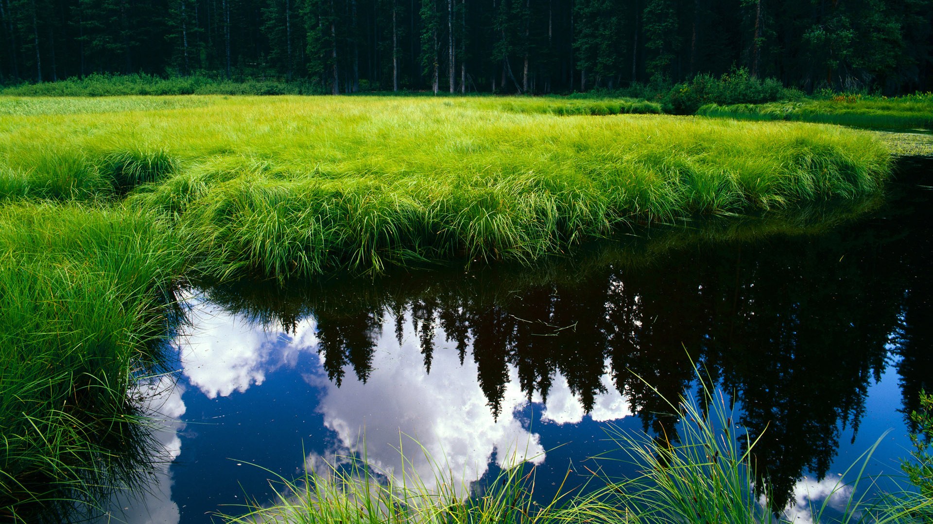 河南球队在比赛中遭遇挑战,依然保持领先地位,河南队吧