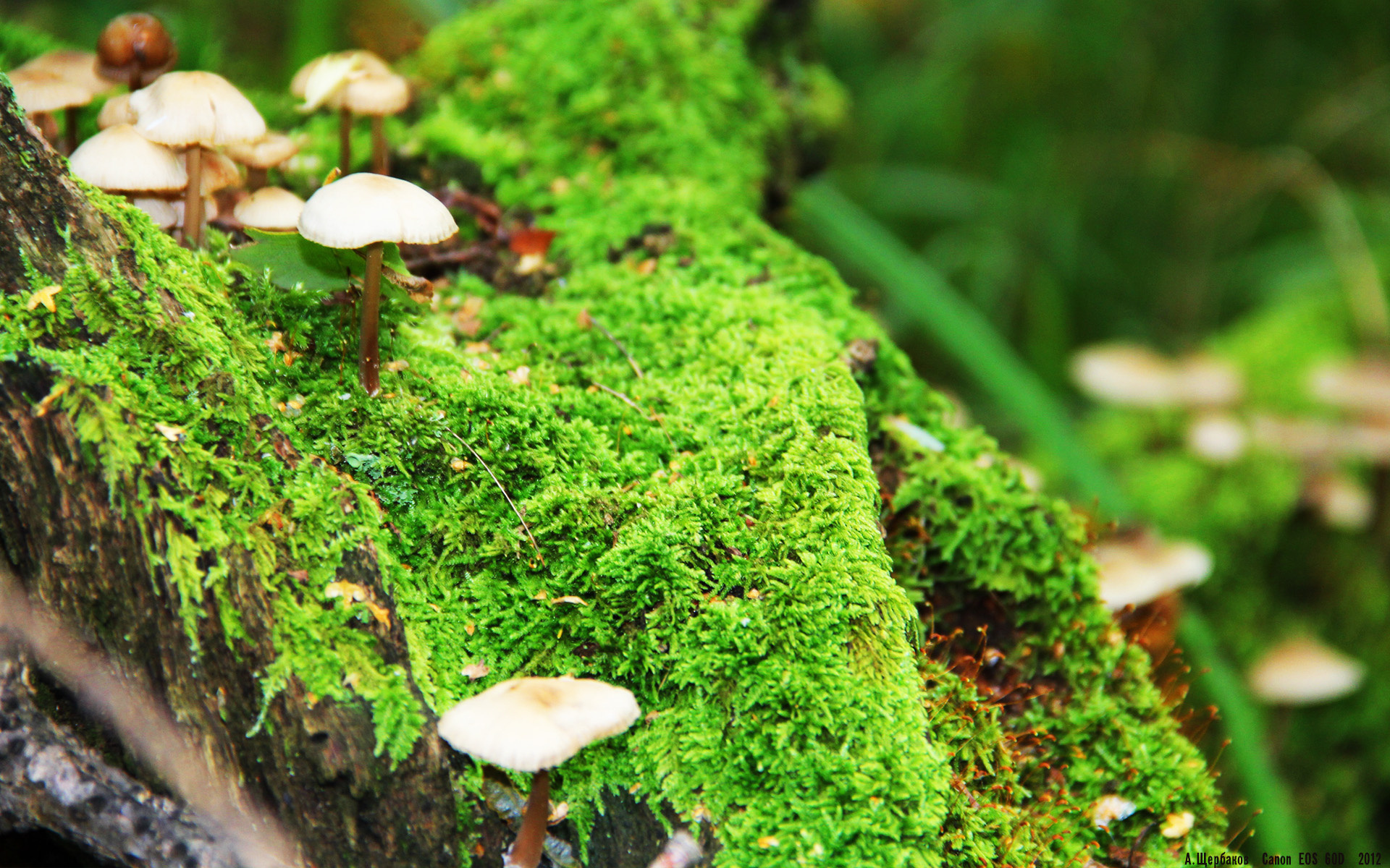 中国足球比赛技术指标,足球比赛技术统计