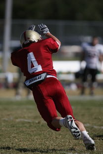 LEYU SPORTS中国官方网站-德甲球队视频分析辅助防守站位调整的实证研究，德甲防守最好的球队