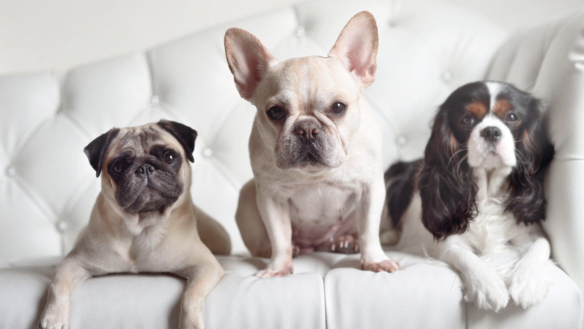 德甲球队视频分析辅助防守站位调整的实证研究,德甲防守最好的球队