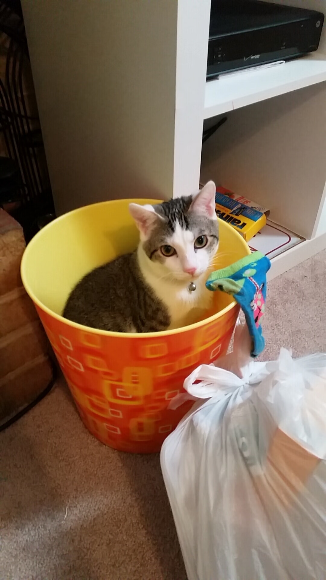 青训制度：欧洲与南美的异同与启示，欧洲青训俱乐部排名