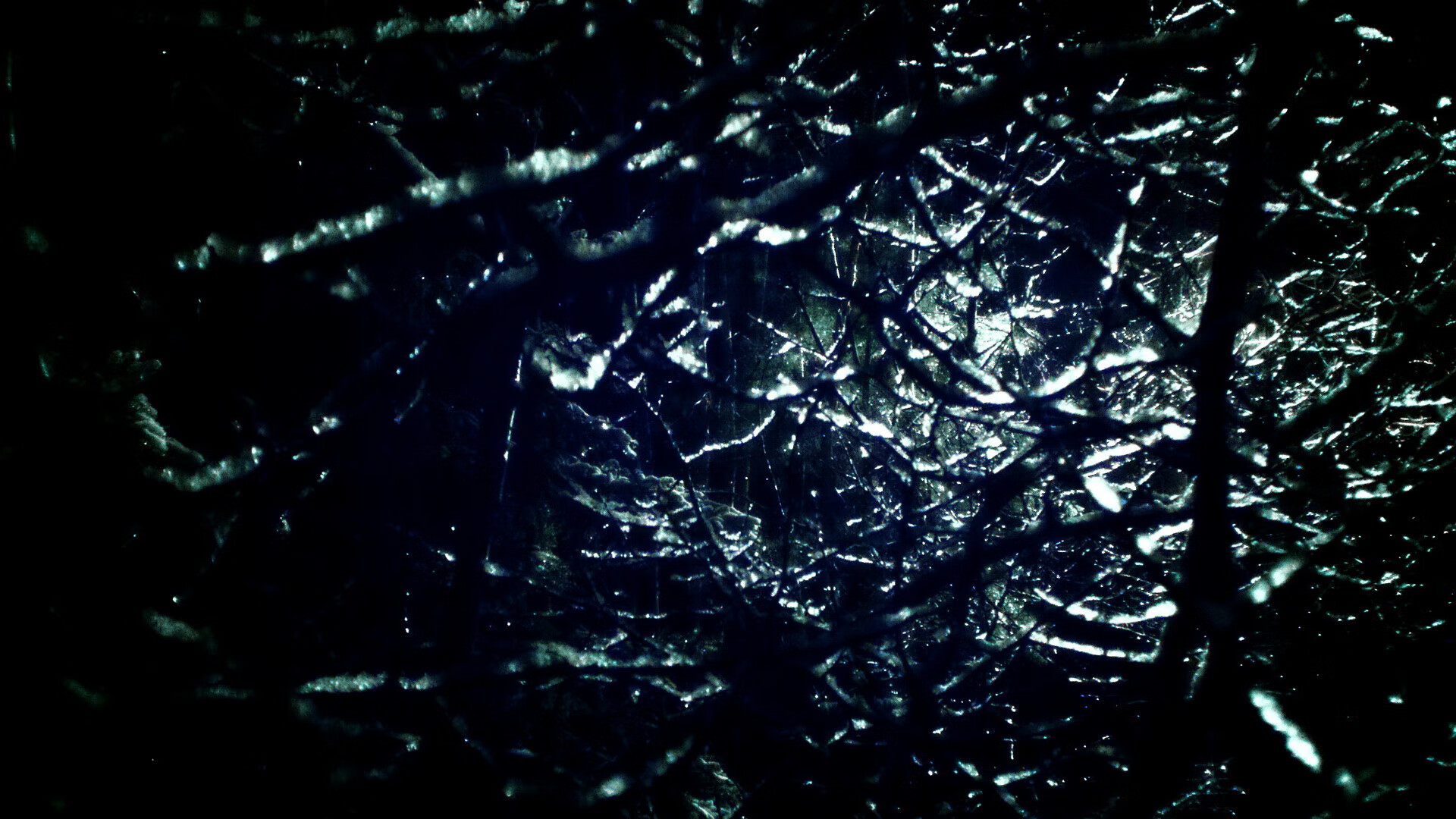 leyu乐鱼体育综合-CBA裁判判罚更精准 球迷认可度提升，cba裁判是怎么安排的