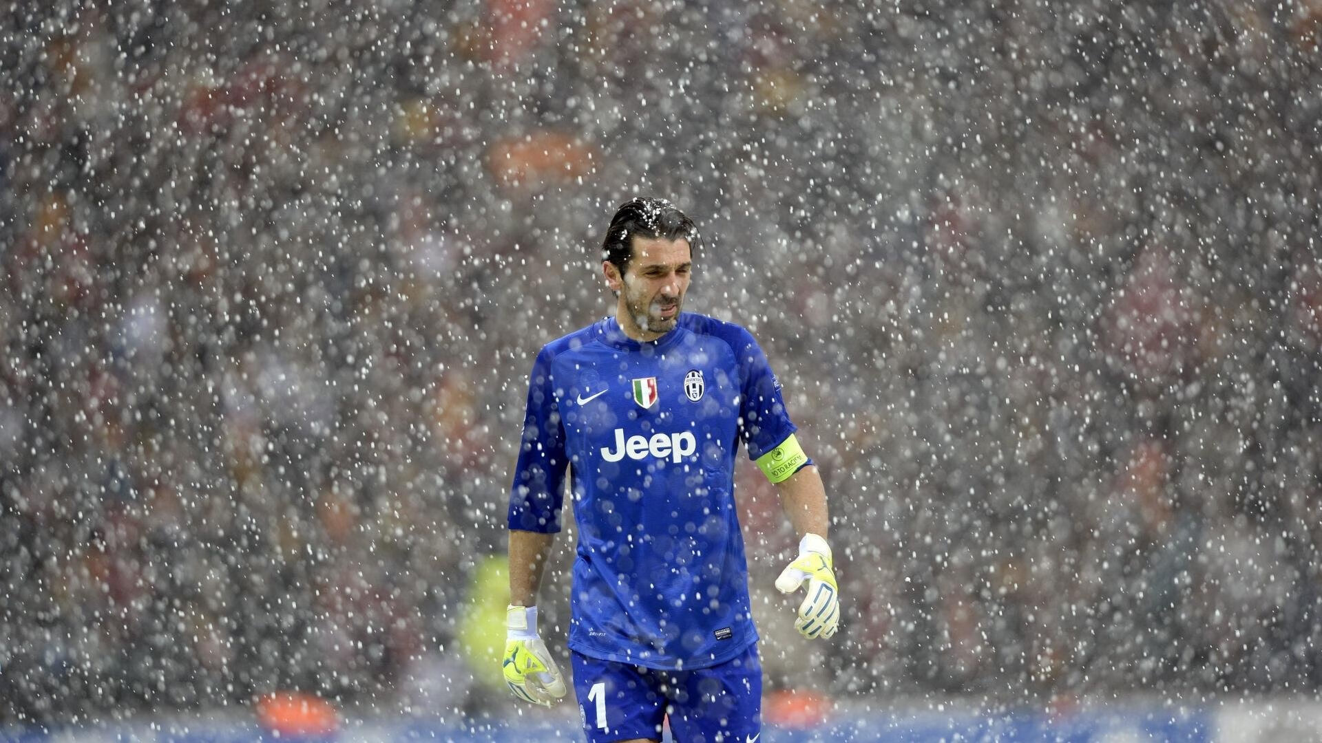 乐鱼电竞在线平台登录入口-罗男子自由泳冲刺爆发惊艳泳池，男子自由泳运动员