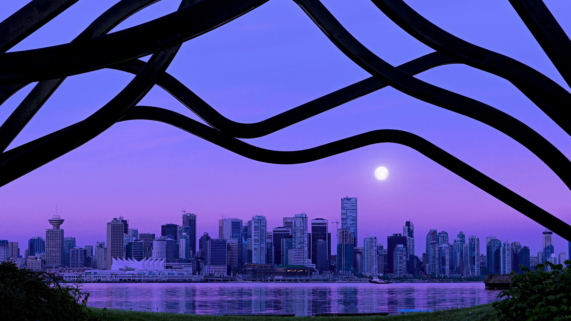 自由泳接力赛突尼斯突破自我，4×200自由泳接力比赛视频