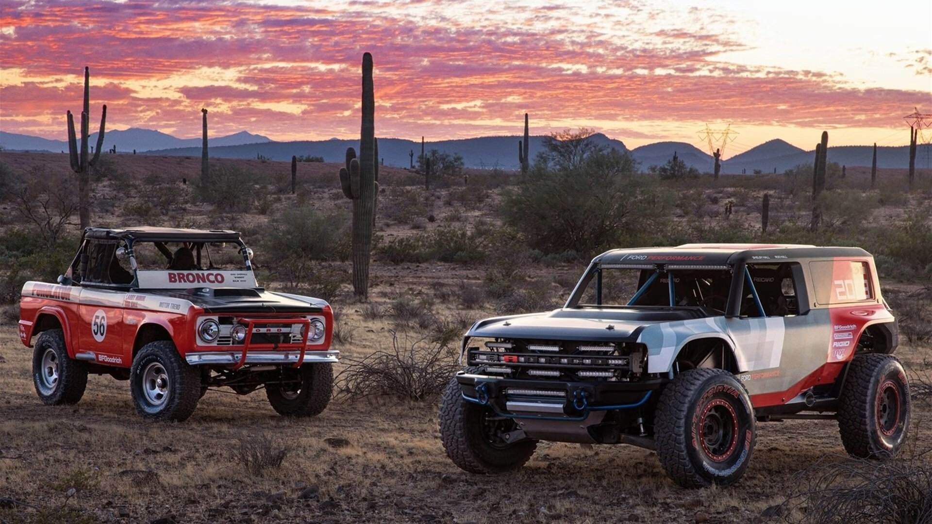 荷兰队在国际赛场势如破竹，士气高昂