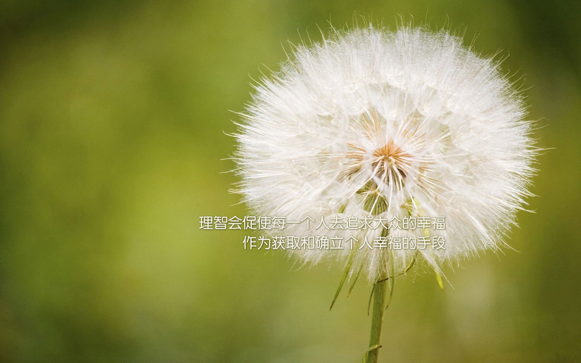 leyu乐鱼体育综合-西甲精彩绝伦：攻防之间精彩绝伦！，西甲集锦视频