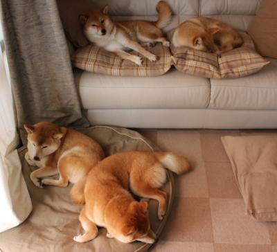 乐鱼电竞· (中国)官方网站-跨国青训合作推动足球科技创新，打造未来竞技新模式，青年足球训练