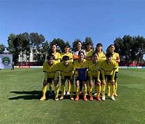 "年轻力量的崛起：新秀如何在职业联赛中立足"的简单介绍