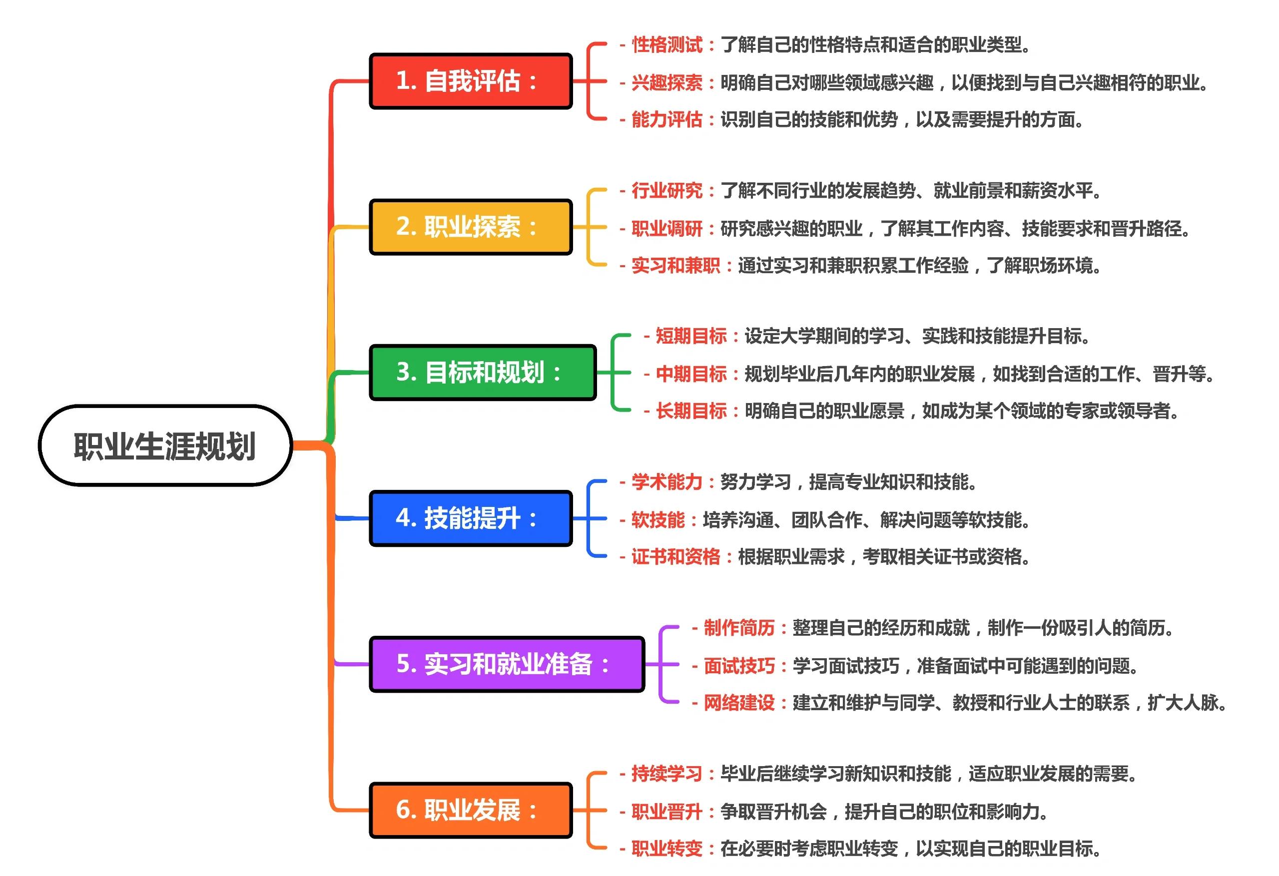 "职业生涯的规划：从青年队到职业联赛"