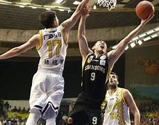 "老将的坚持与新星的崛起：球队平衡的艺术"的简单介绍